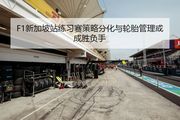 F1新加坡站练习赛策略分化与轮胎管理或成胜负手